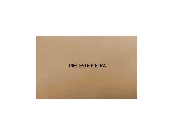 SOFÁ 2 PLAZAS DE PIEL MOD. TINY